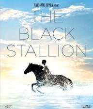 Black Stallion streaming