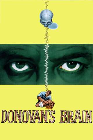 Il cervello di Donovan streaming